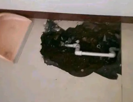 藁城卫生间测漏水多少钱